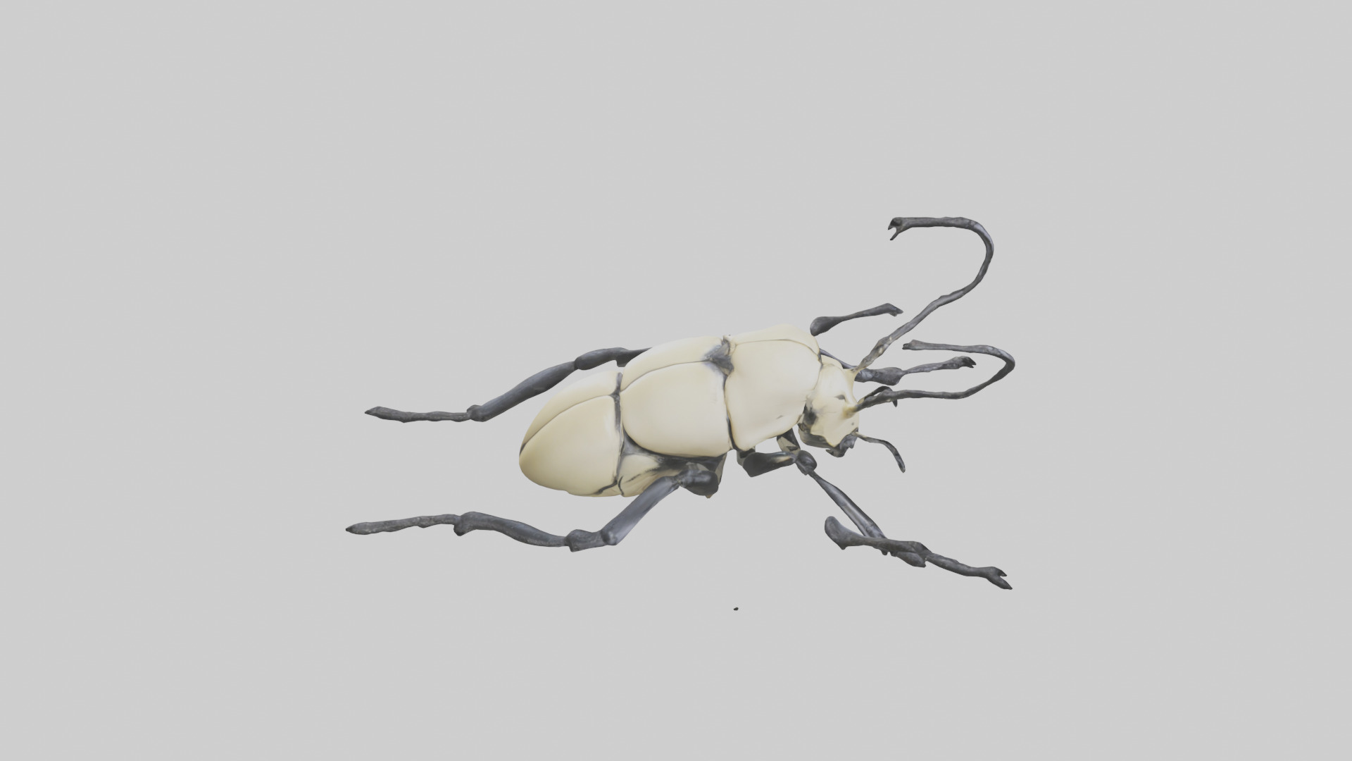Hercules Beetle climbing tree model Low-poly 3D model_18