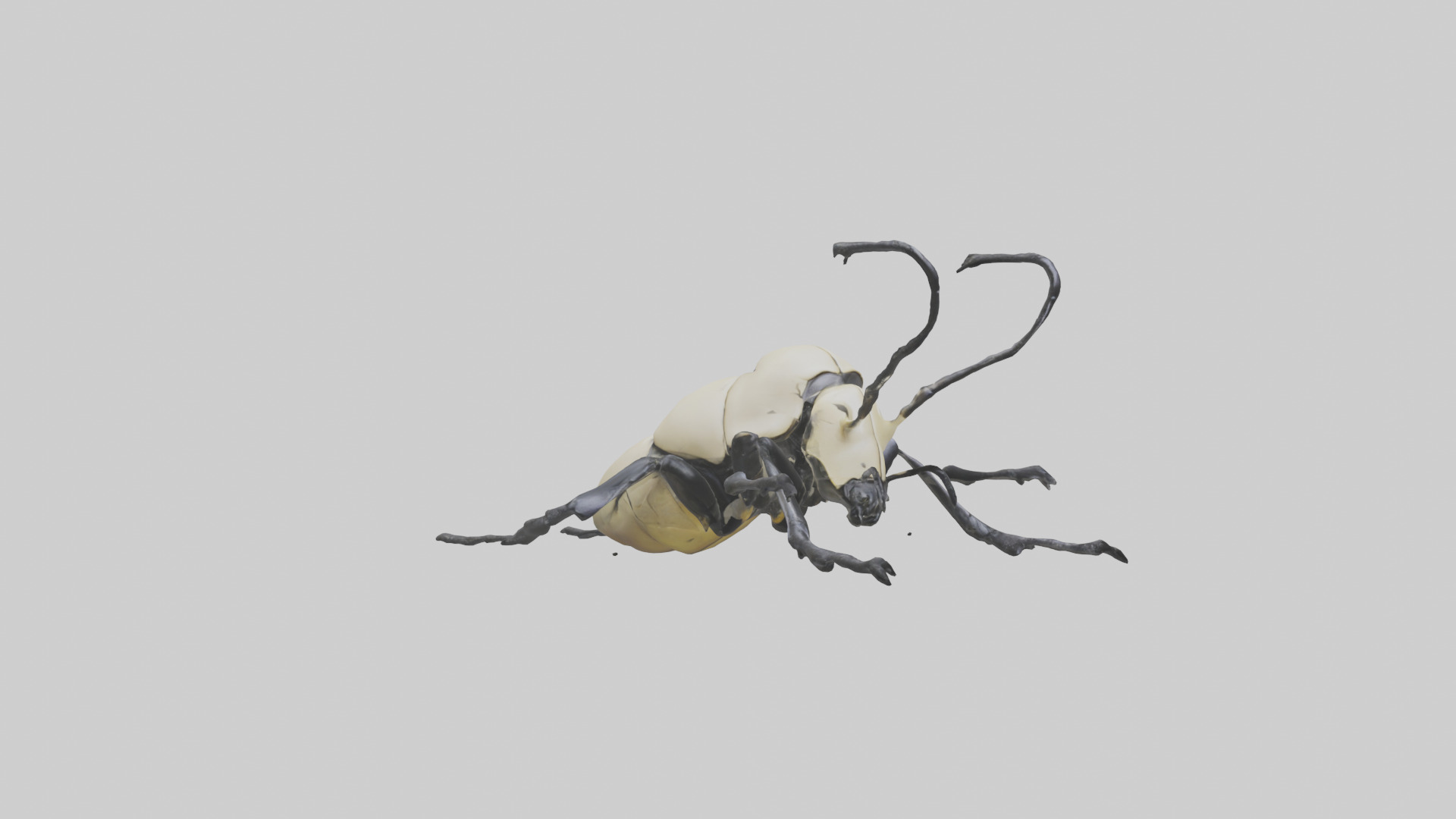 Hercules Beetle climbing tree model Low-poly 3D model_11