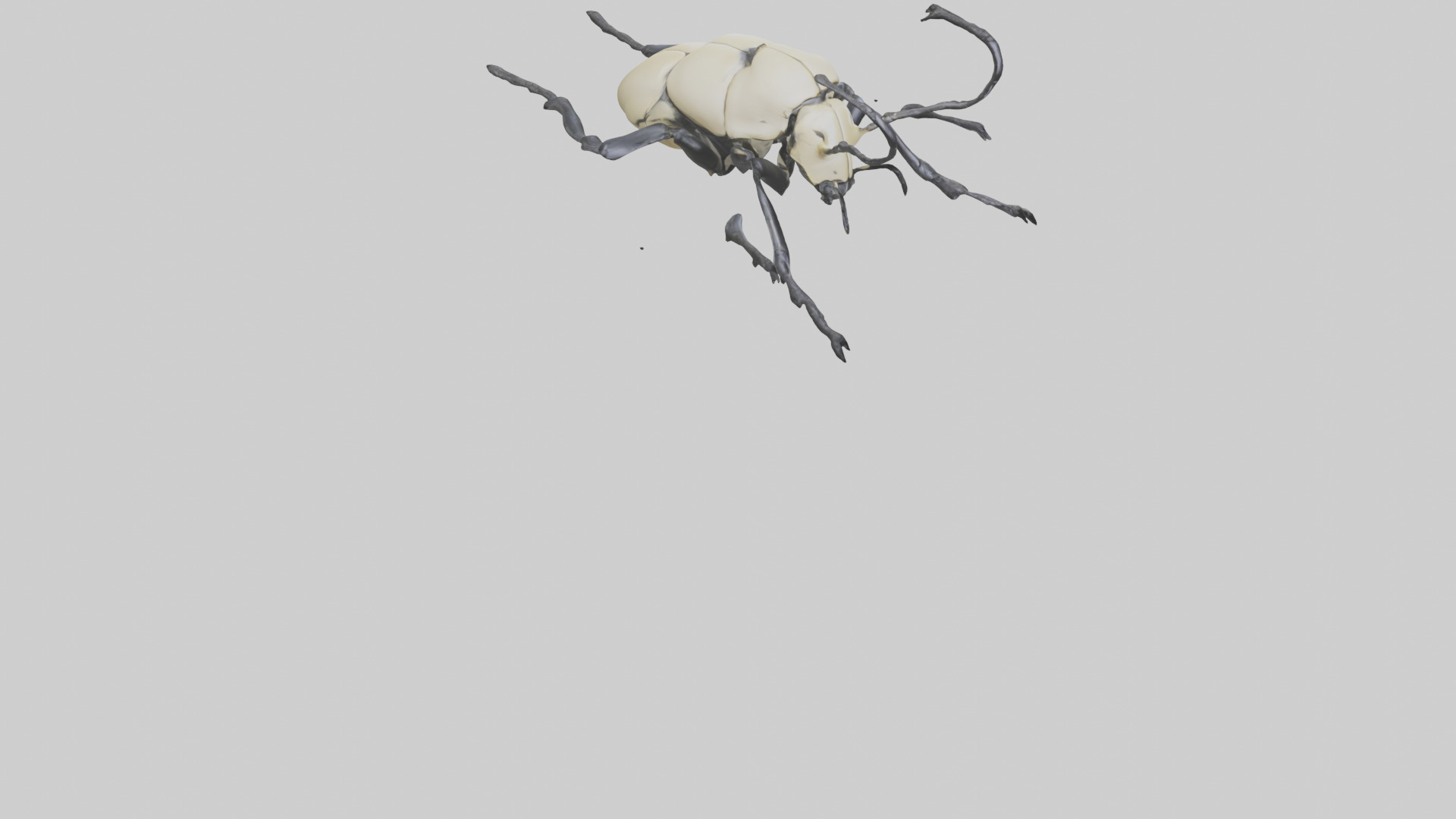 Hercules Beetle climbing tree model Low-poly 3D model_6