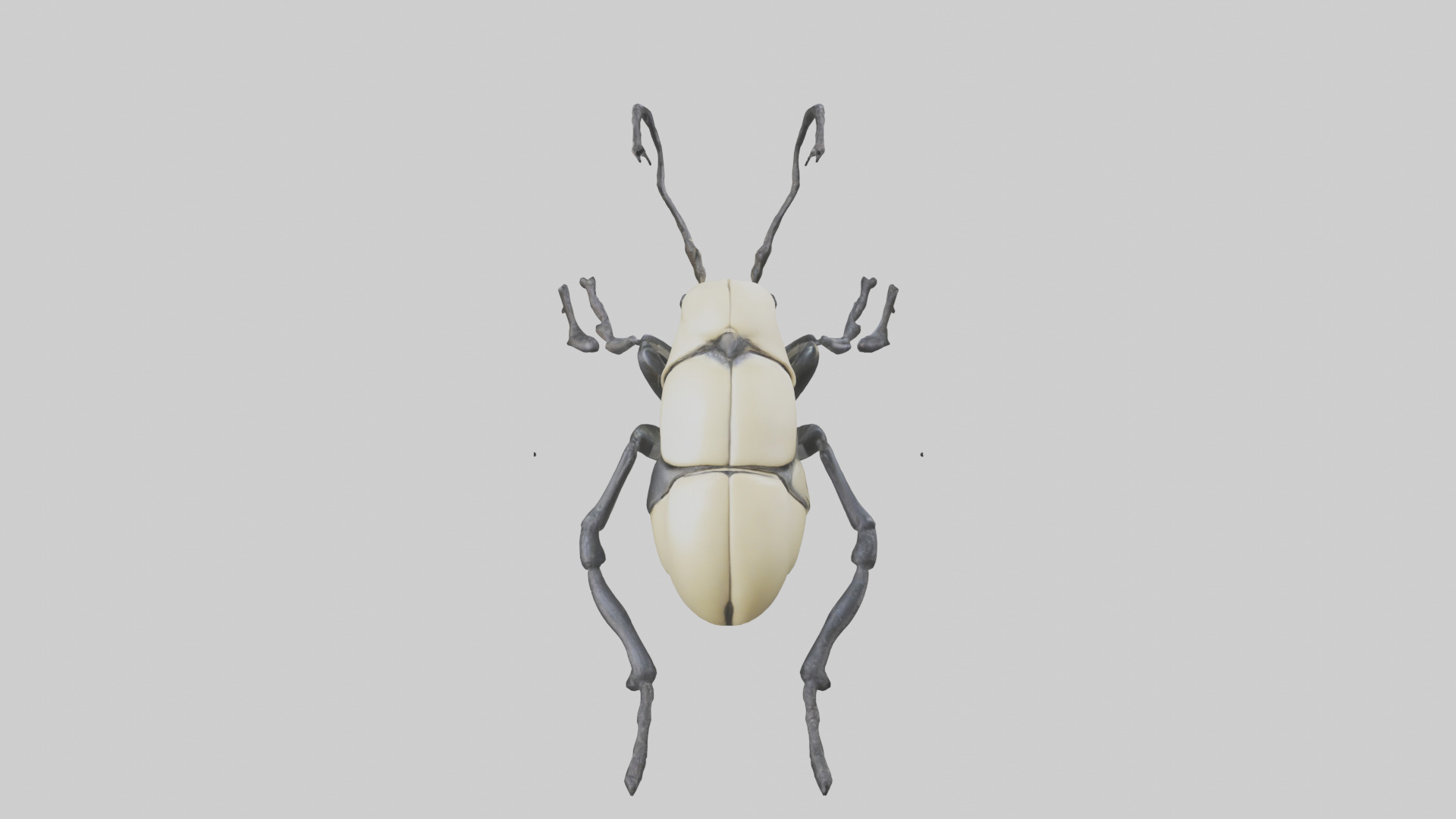 Hercules Beetle climbing tree model Low-poly 3D model_15