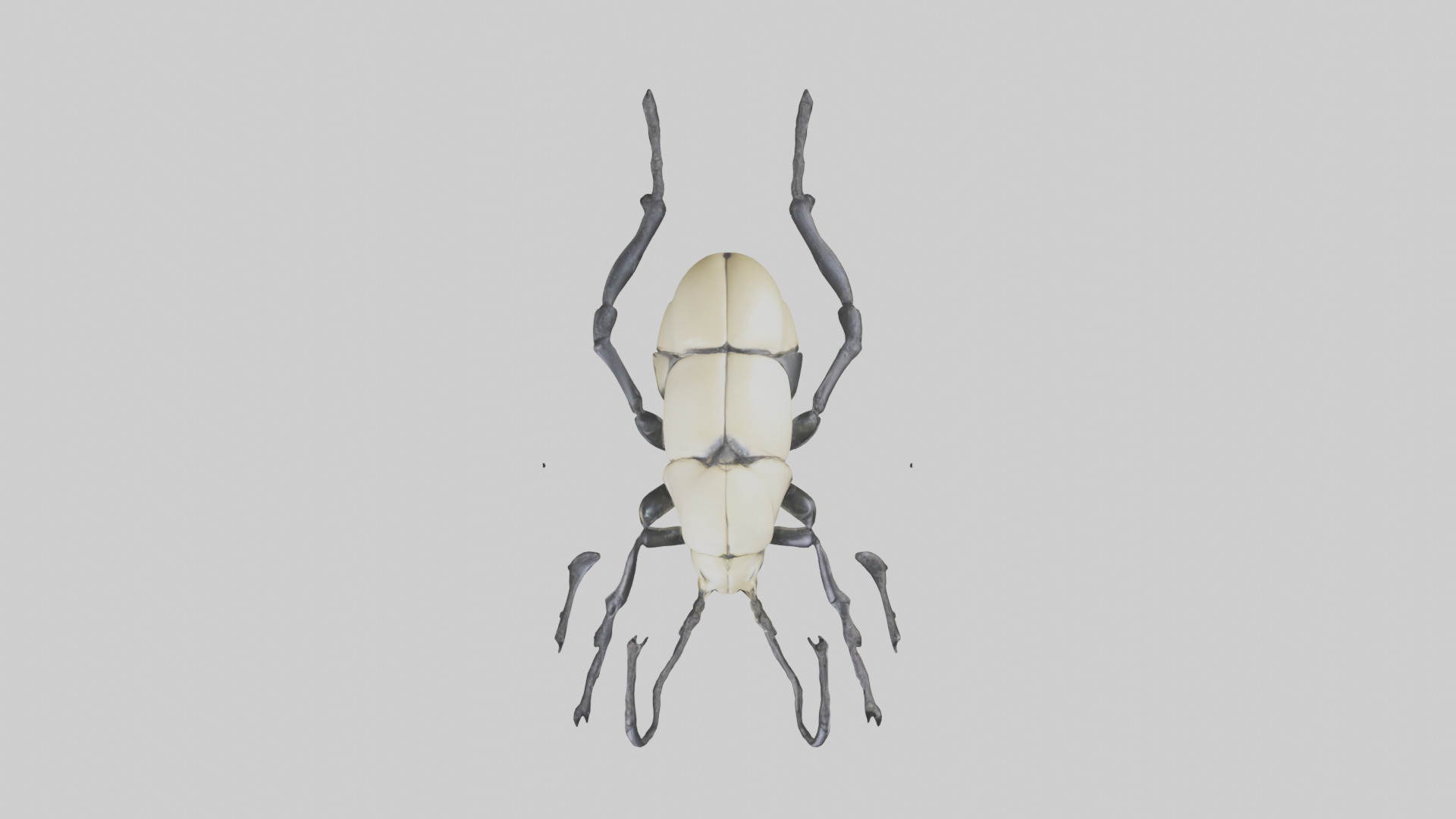 Hercules Beetle climbing tree model Low-poly 3D model_14