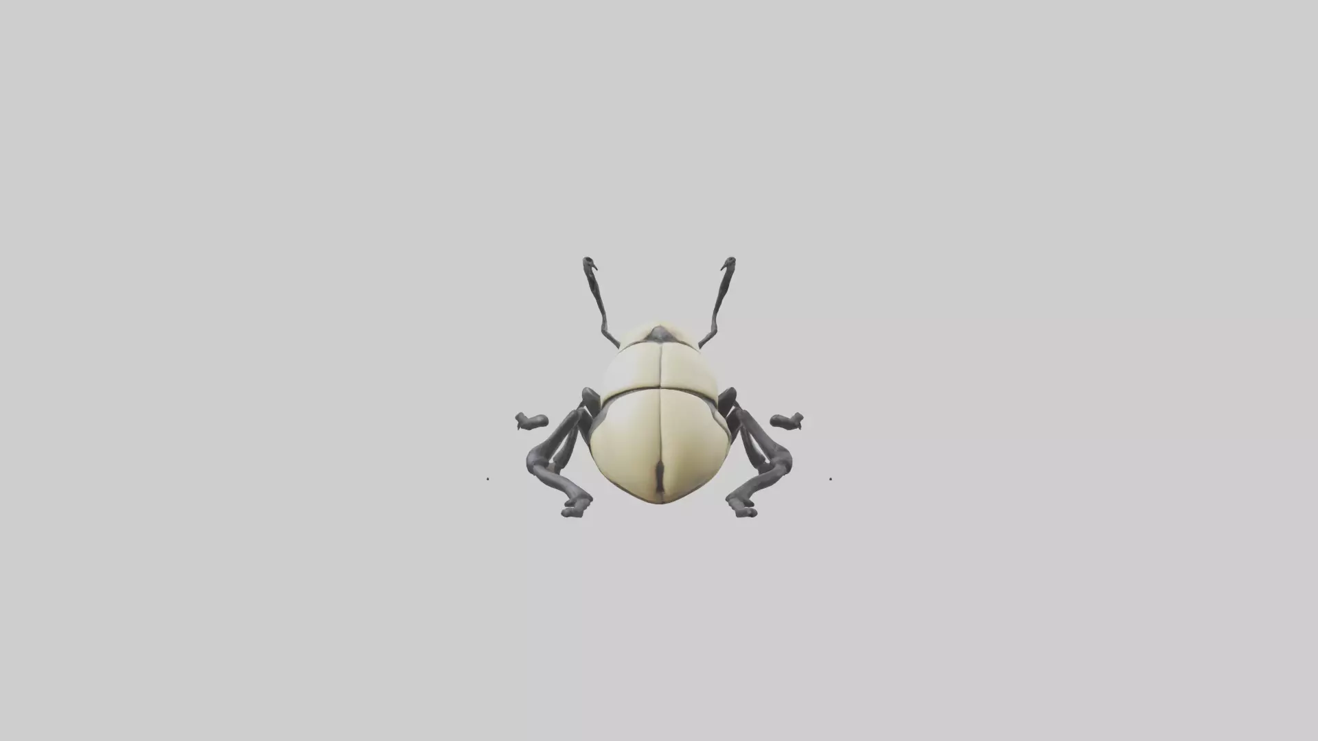Hercules Beetle climbing tree model Low-poly 3D model_0