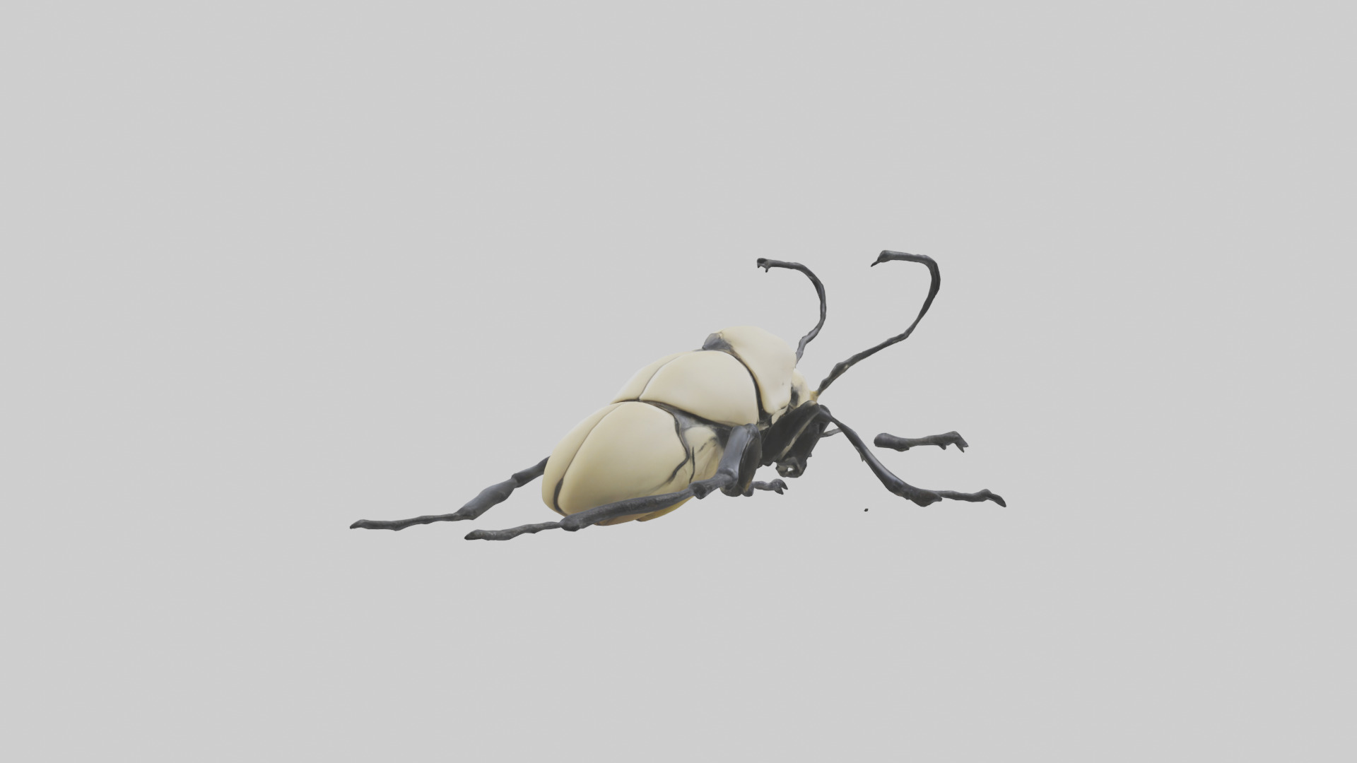 Hercules Beetle climbing tree model Low-poly 3D model_2