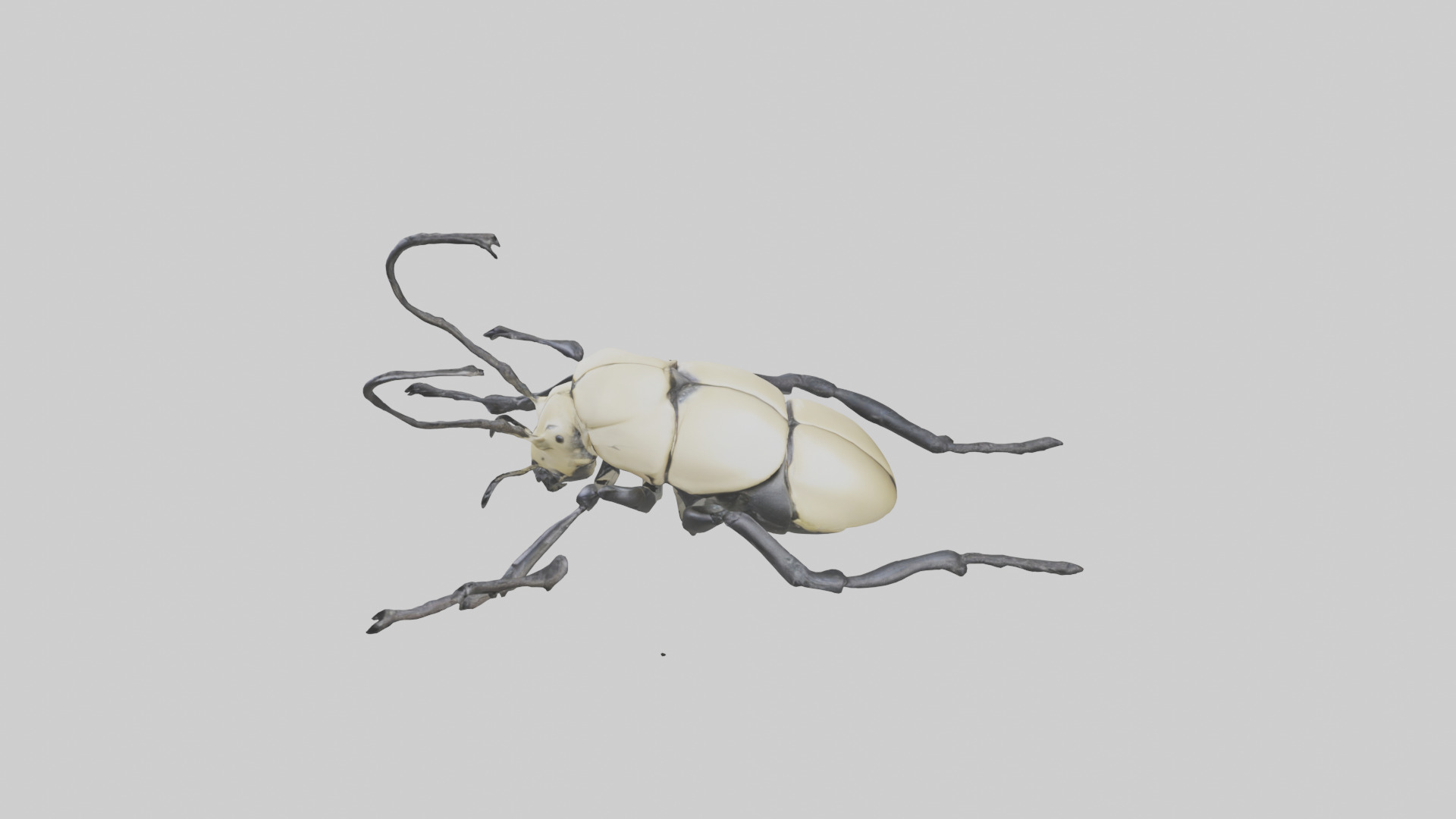 Hercules Beetle climbing tree model Low-poly 3D model_17