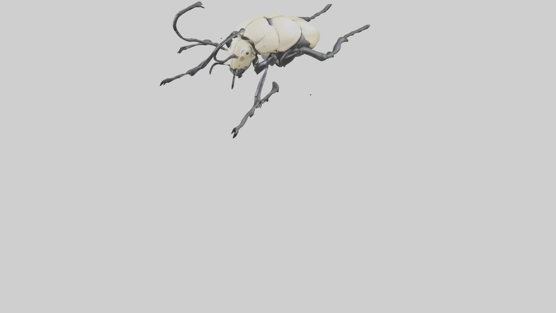 Hercules Beetle climbing tree model Low-poly 3D model_5