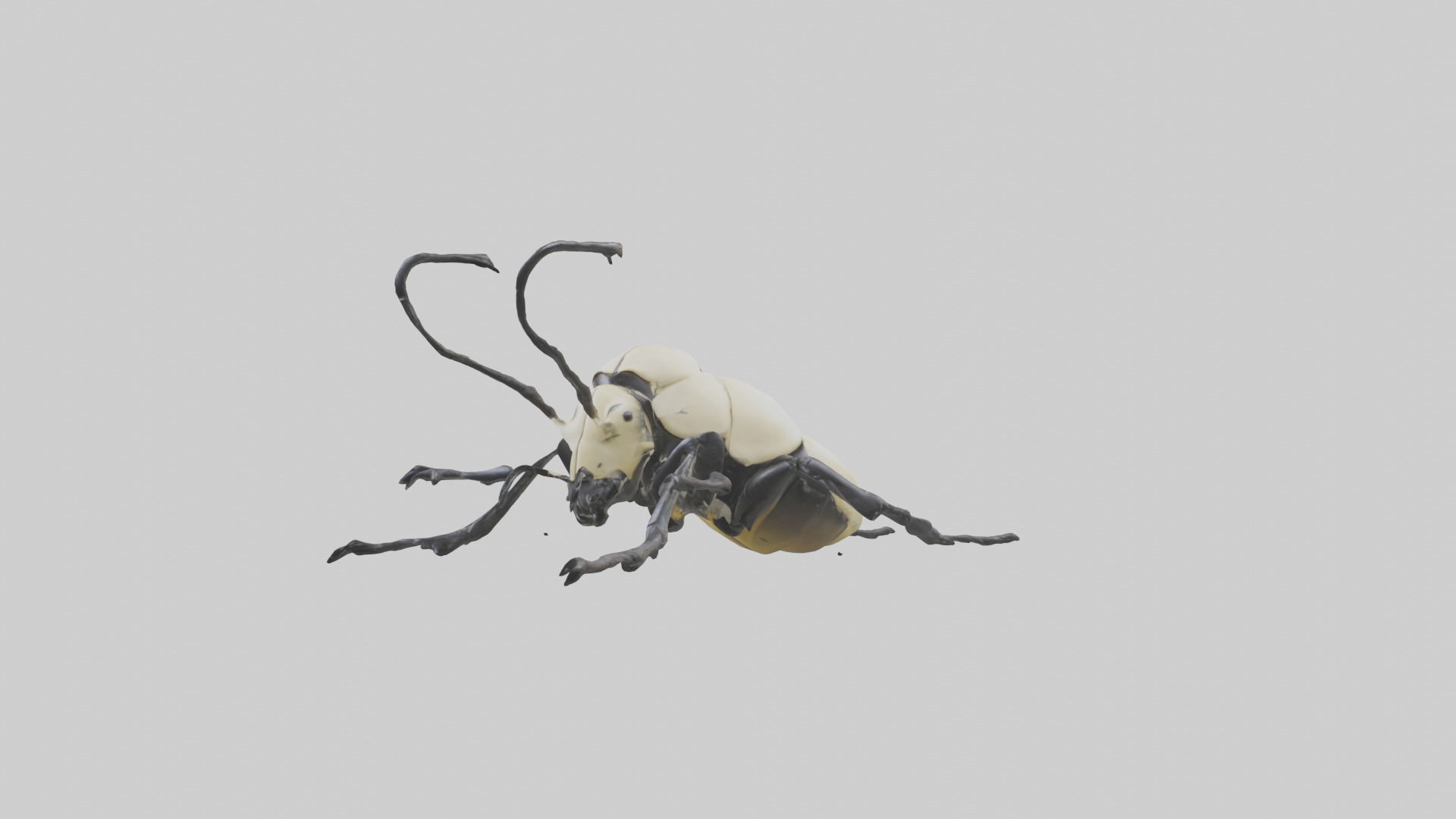 Hercules Beetle climbing tree model Low-poly 3D model_10
