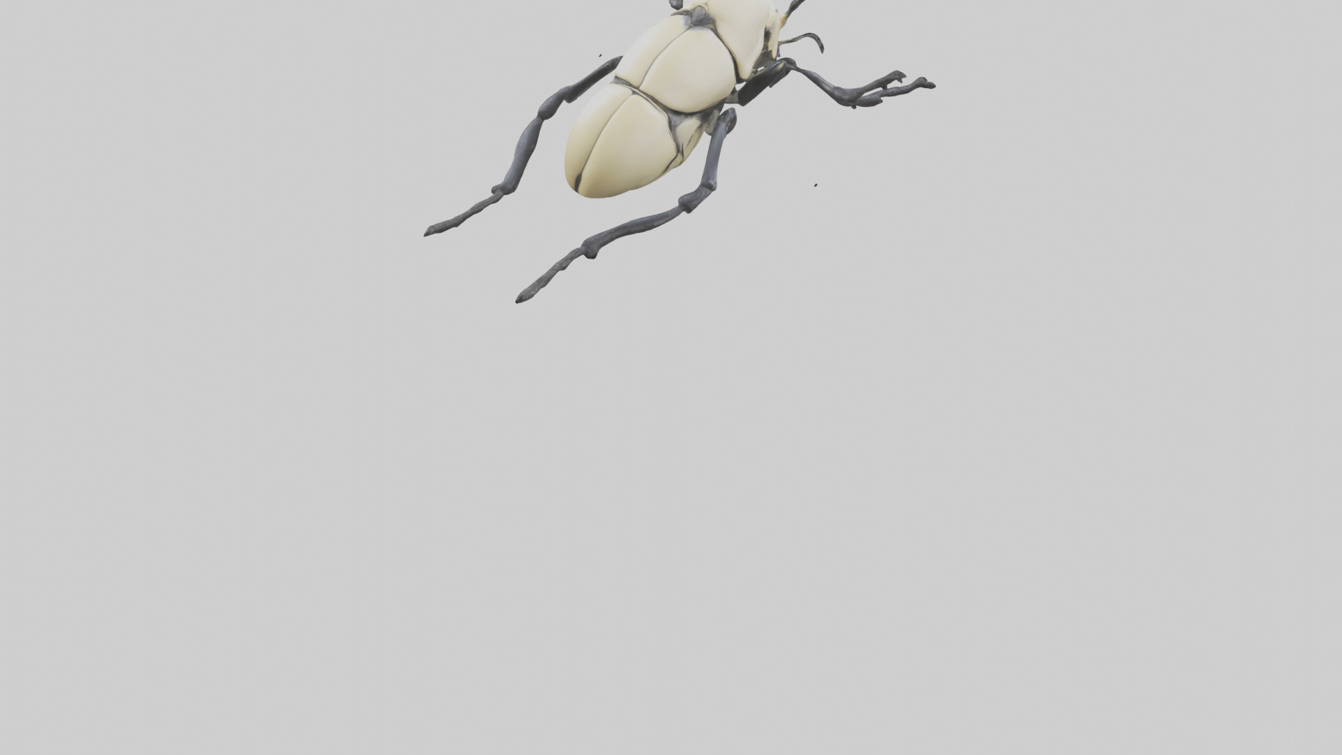 Hercules Beetle climbing tree model Low-poly 3D model_4