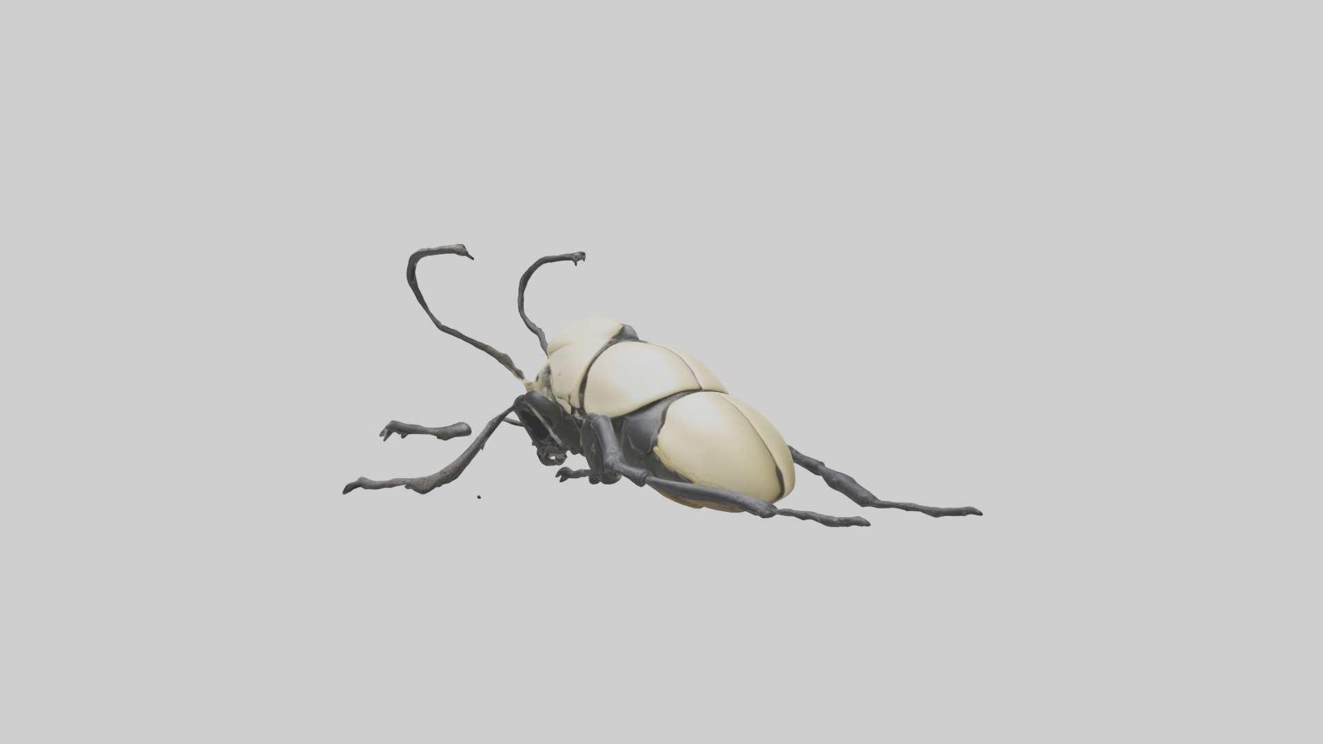 Hercules Beetle climbing tree model Low-poly 3D model_1