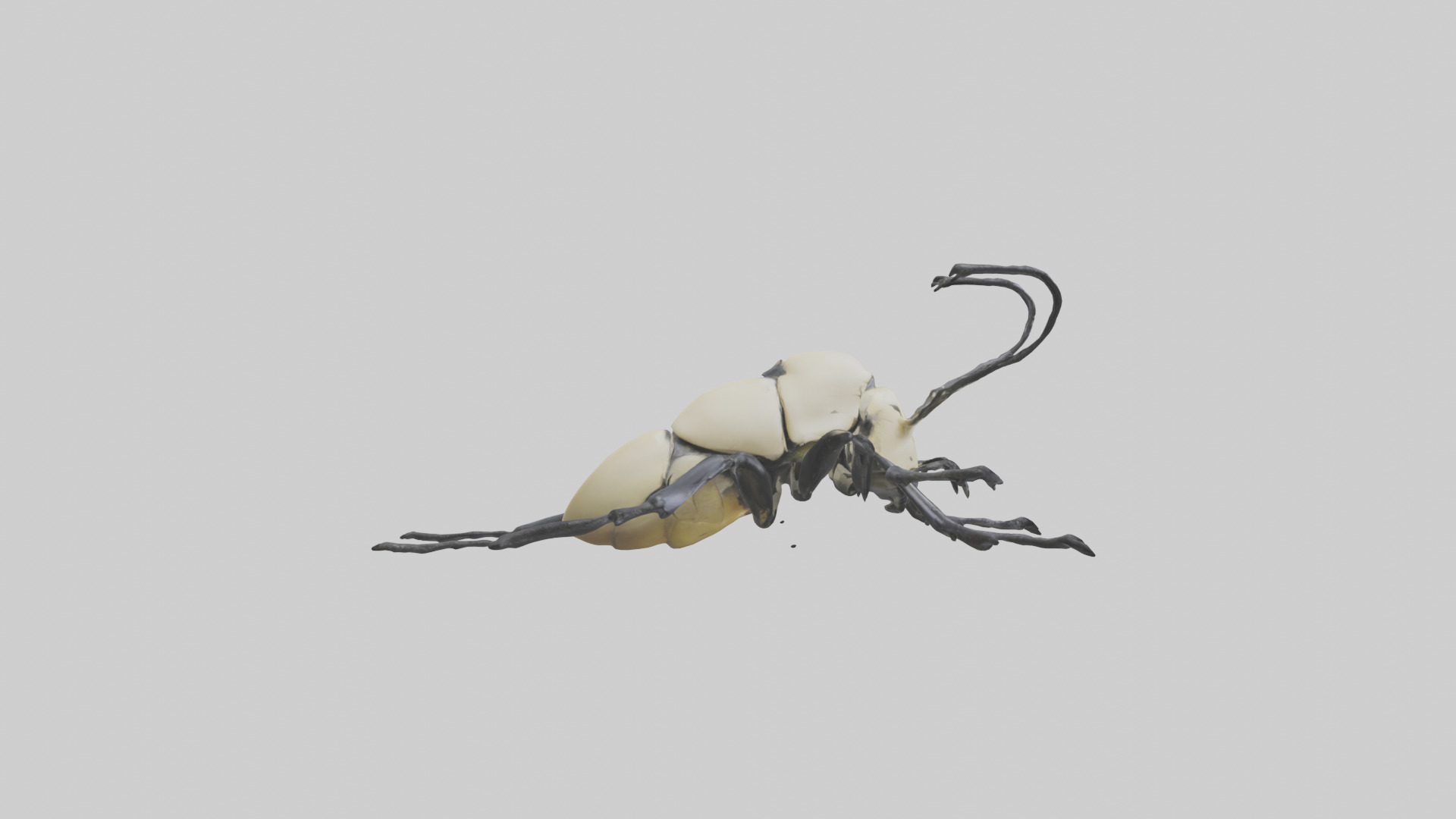 Hercules Beetle climbing tree model Low-poly 3D model_13
