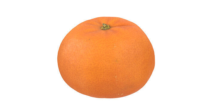 Mandarin Orange 3D model 5