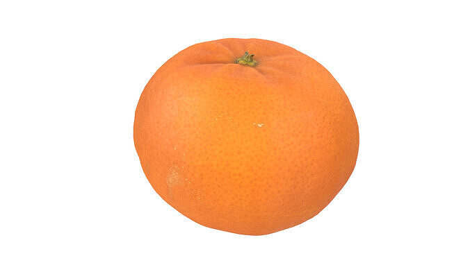 Mandarin Orange 3D model 3