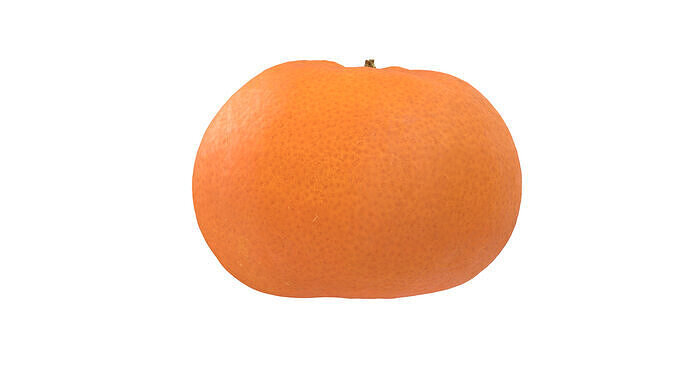 Mandarin Orange 3D model 4