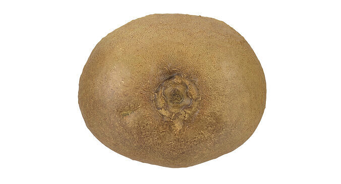 Half Of Kiwi 3D model 4