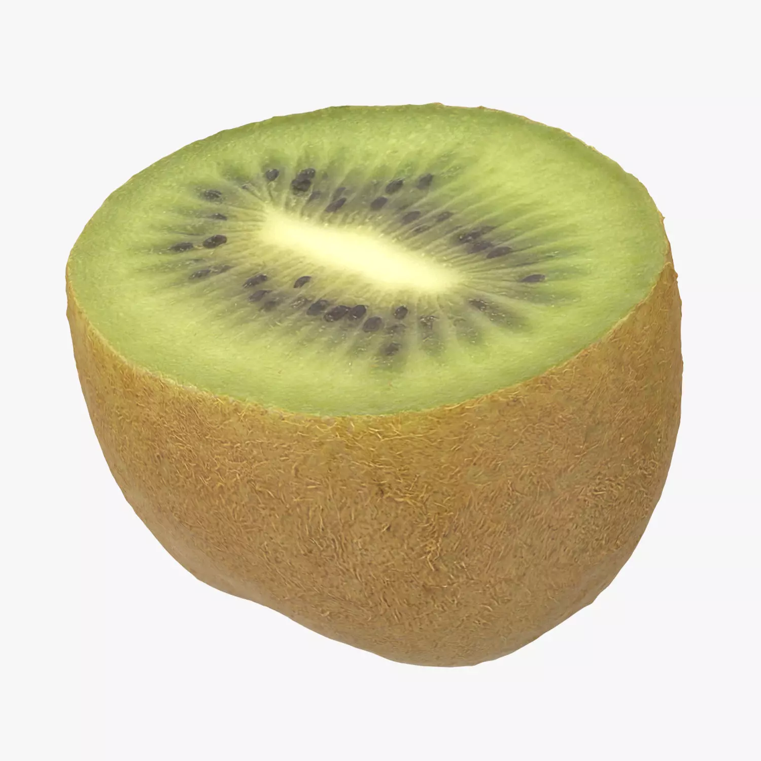 Half Of Kiwi 3D model