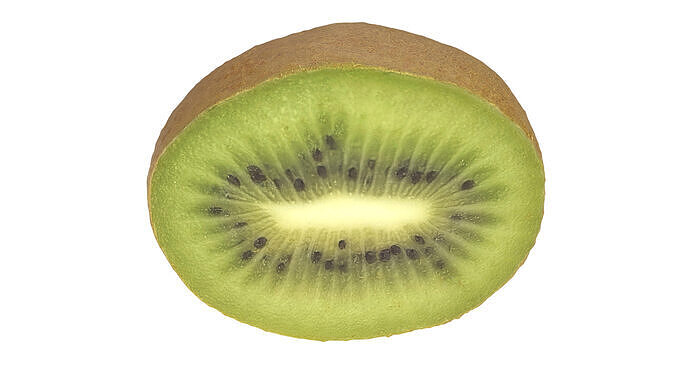 Half Of Kiwi 3D model 2
