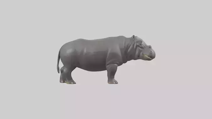 Hippopotamus statue model