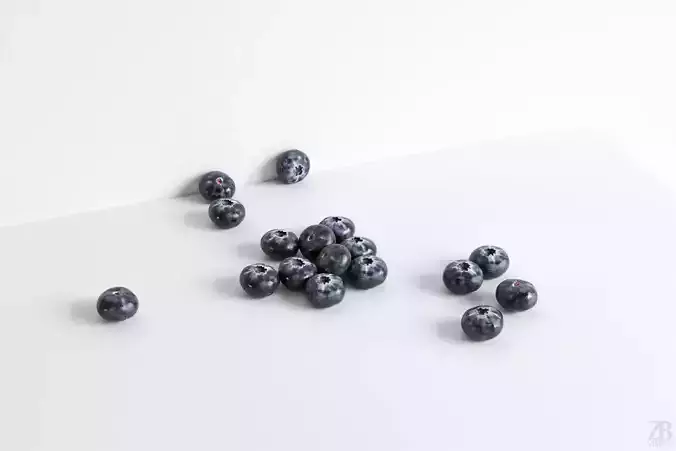 Blueberry 3D model