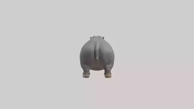 Hippopotamus yawning model