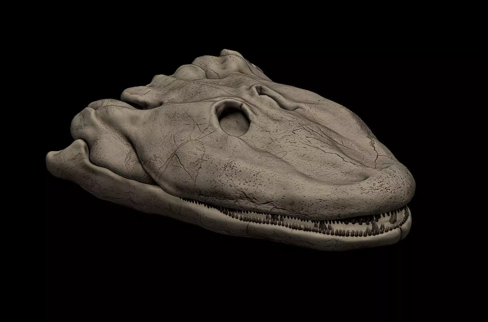 Tiktaalik Skull 3D print model_0