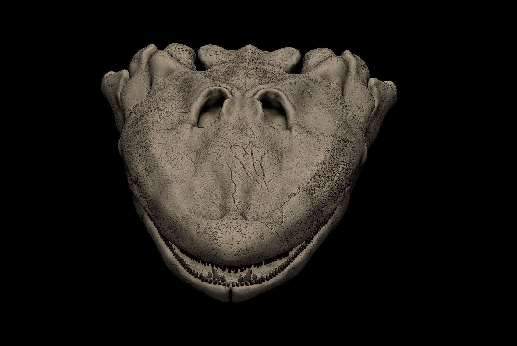 Tiktaalik Skull 3D print model_1