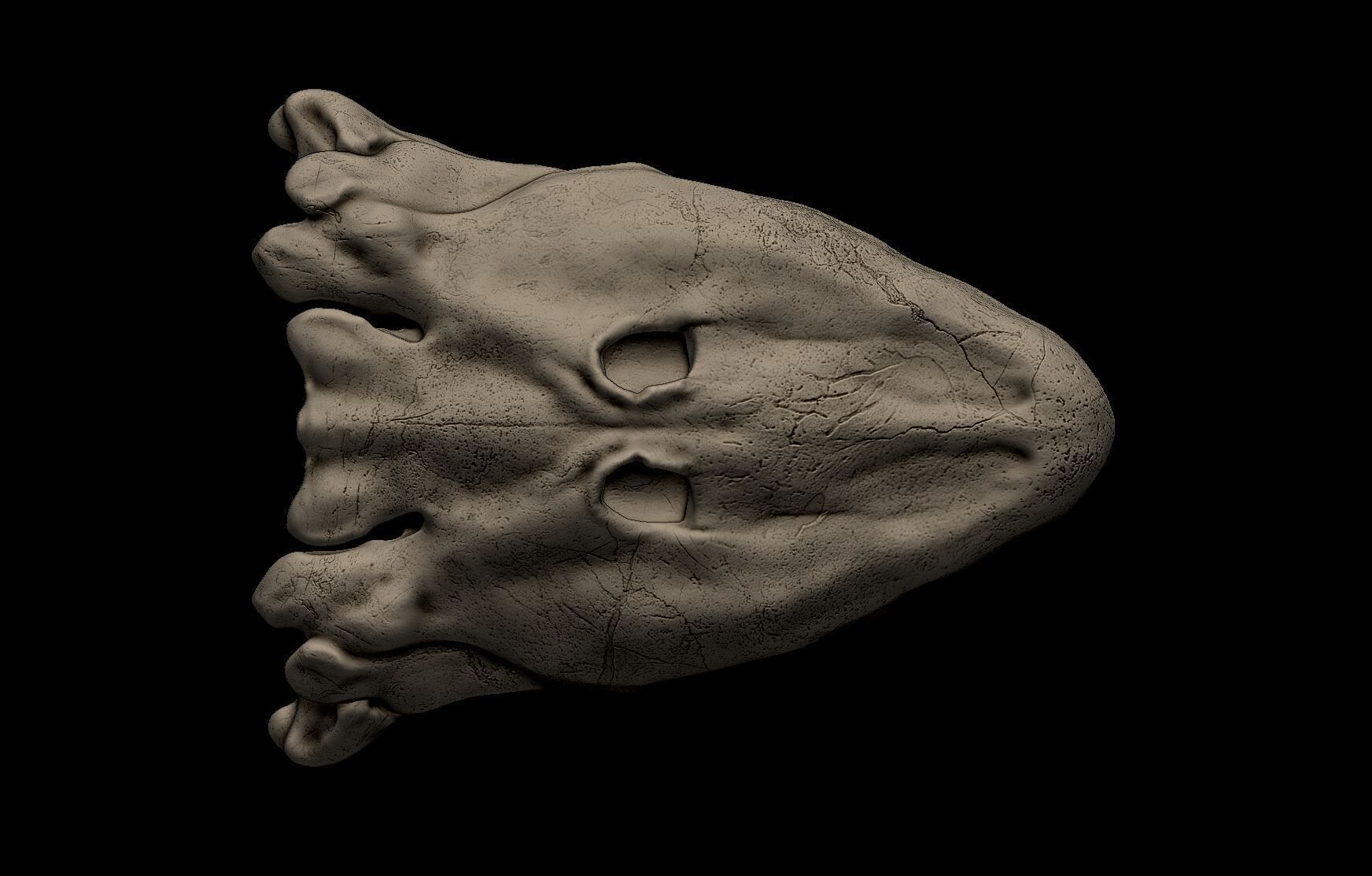 Tiktaalik Skull 3D print model_4