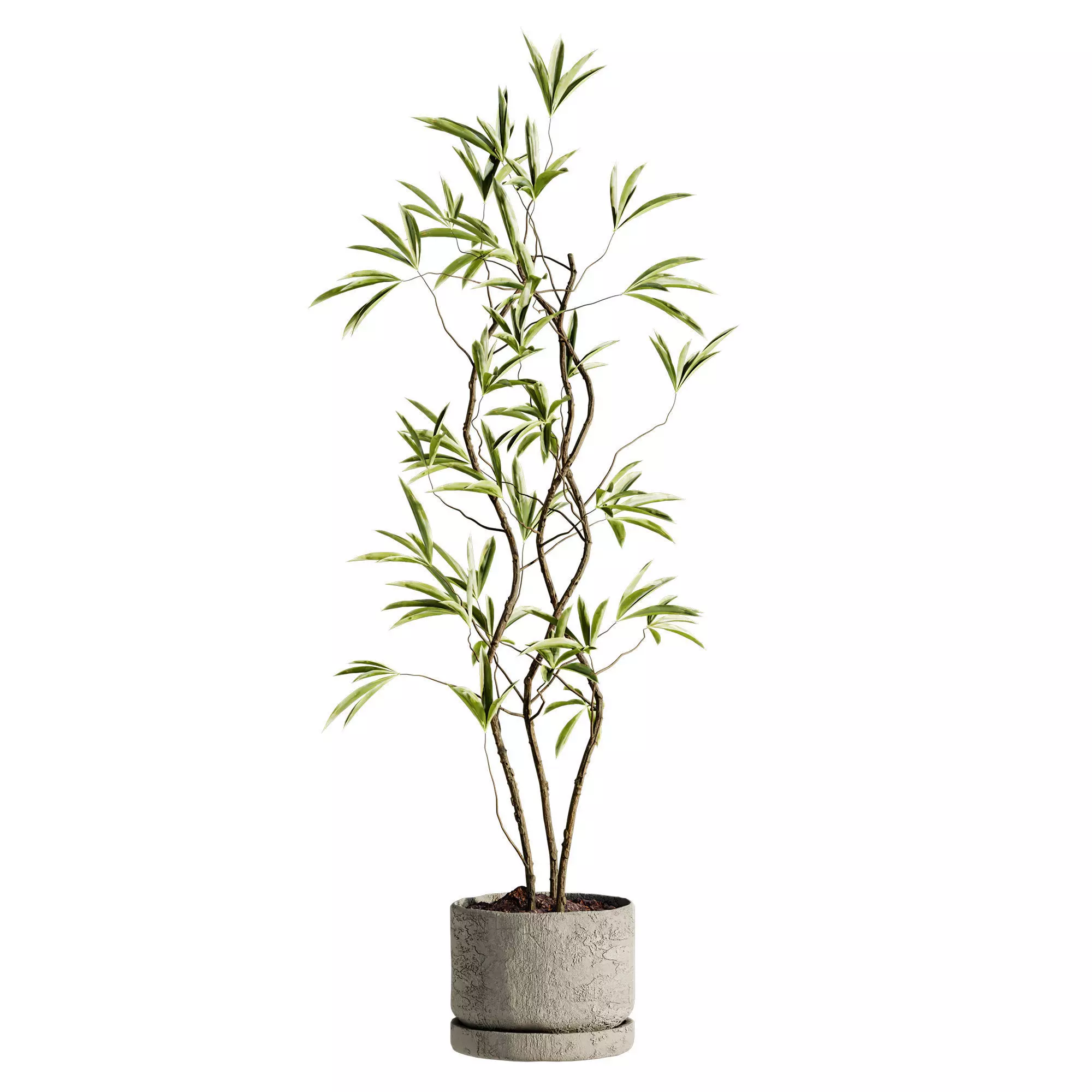 Plants Set 3D model_0