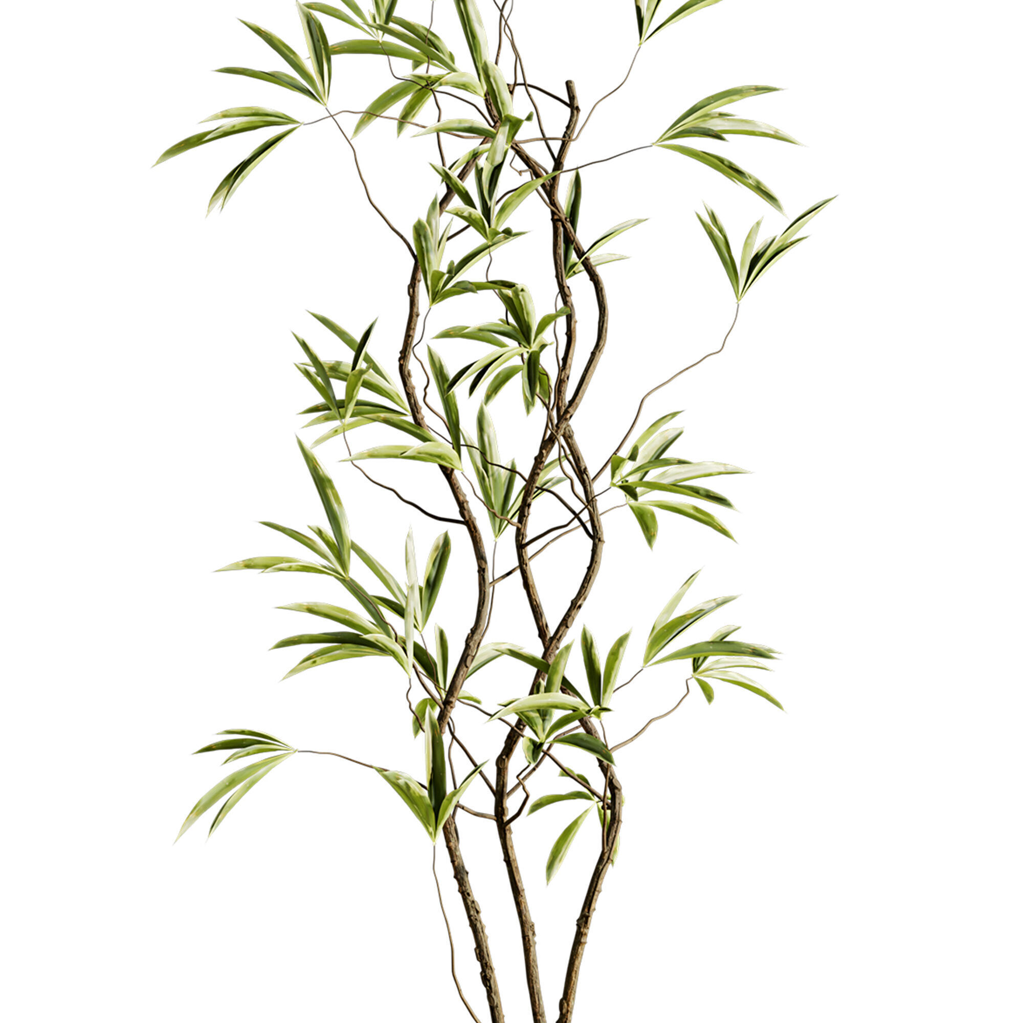 Plants Set 3D model_2