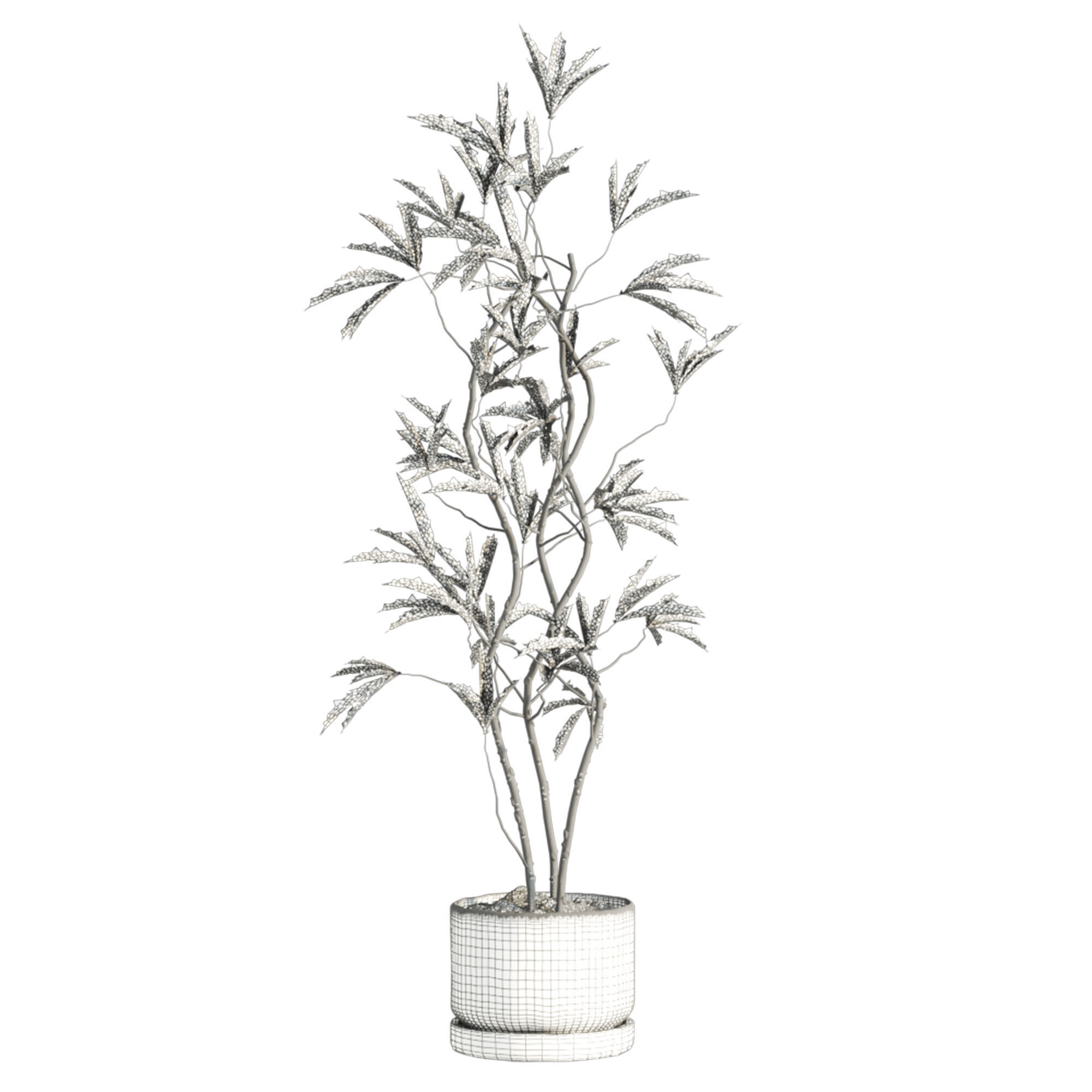 Plants Set 3D model_3