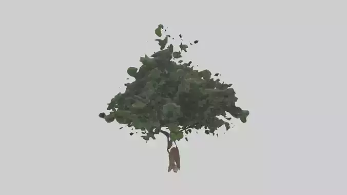 Holly tree model