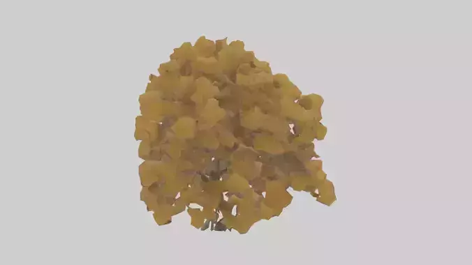 Honey locust tree model Low-poly 3D model