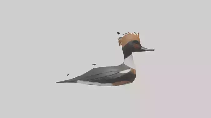 Hooded Merganser floating model