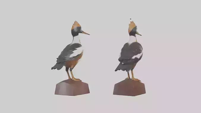Hooded Merganser statue model