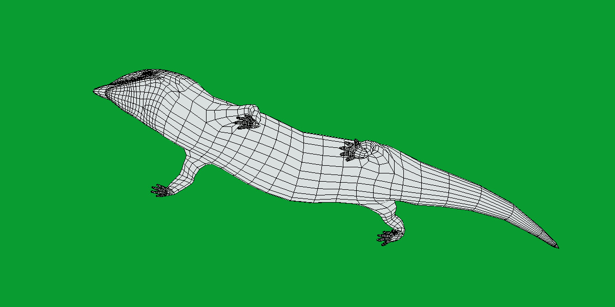 Blue Tongued Skink Low-poly 3D model_15