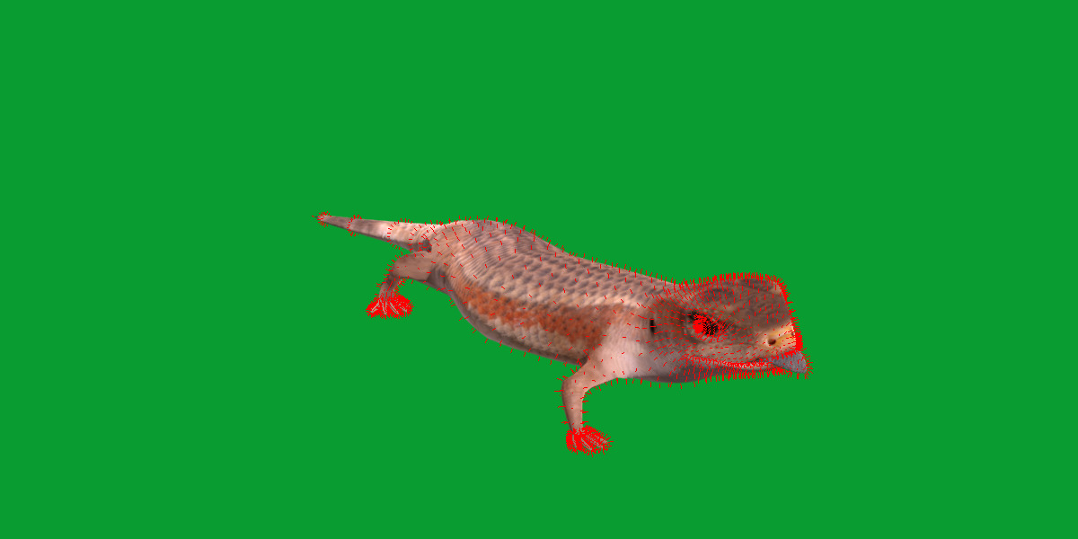 Blue Tongued Skink Low-poly 3D model_16