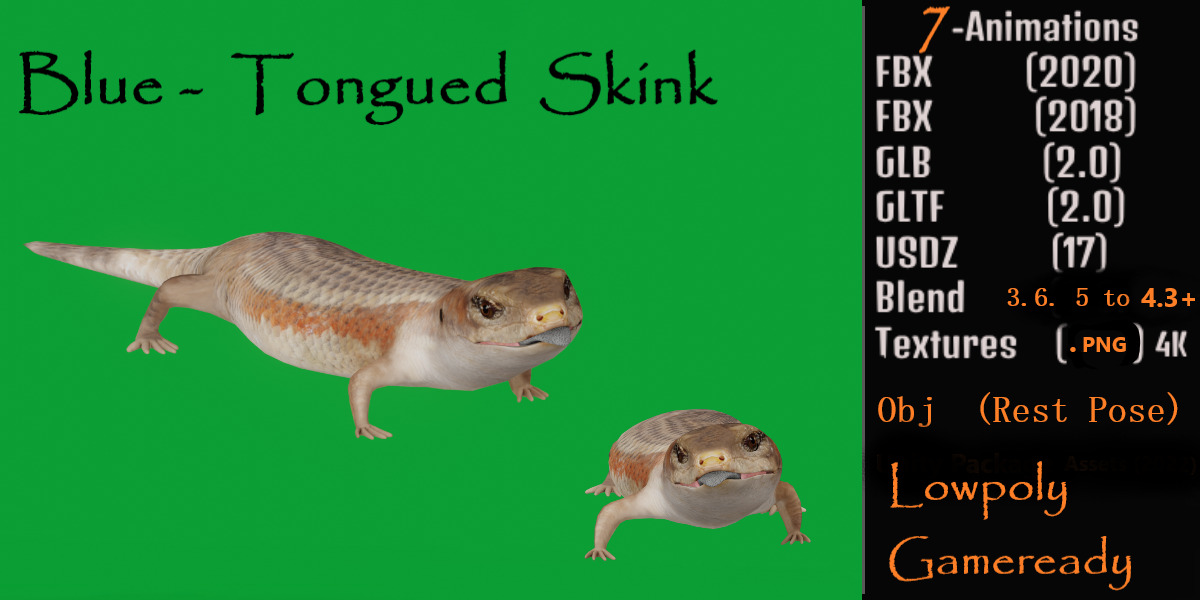 Blue Tongued Skink Low-poly 3D model_2
