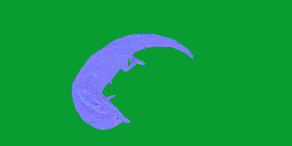 Blue Tongued Skink Low-poly 3D model_6