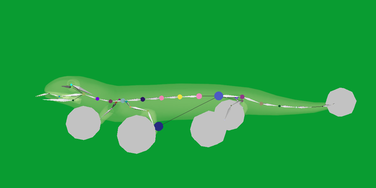 Blue Tongued Skink Low-poly 3D model_23