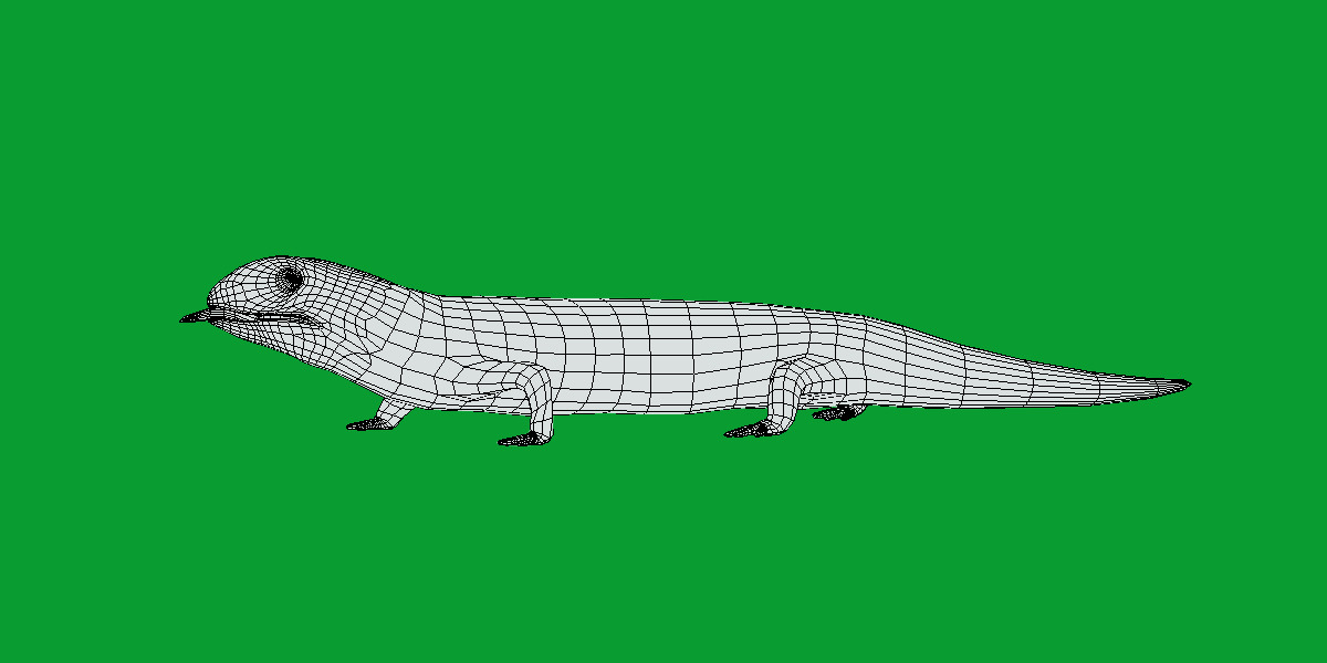 Blue Tongued Skink Low-poly 3D model_13
