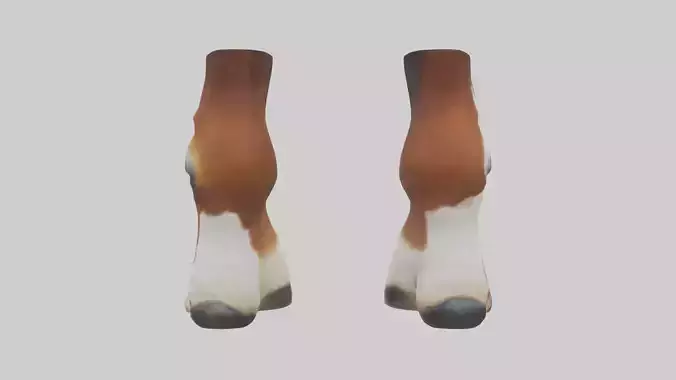 Horse Hooves