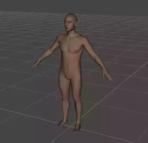 Male Base Mesh  High Quality 3D Character Model 3