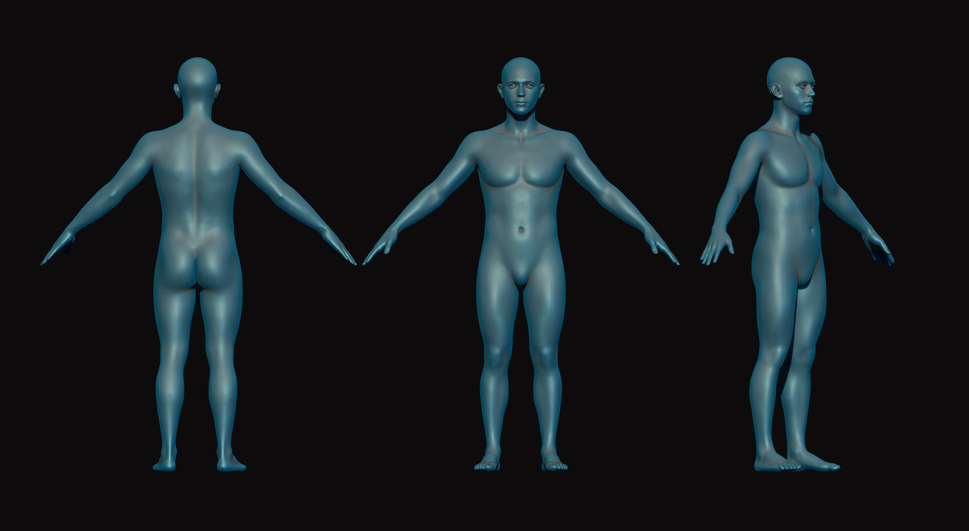 Male Base Mesh High Quality 3D Character Model 3 Free low-poly 3D model_1