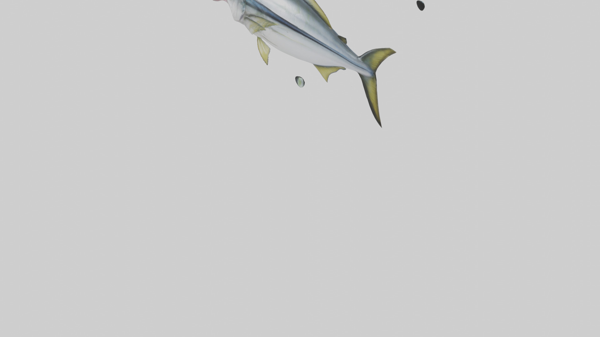 Horse Mackerel darting model Low-poly 3D model_3