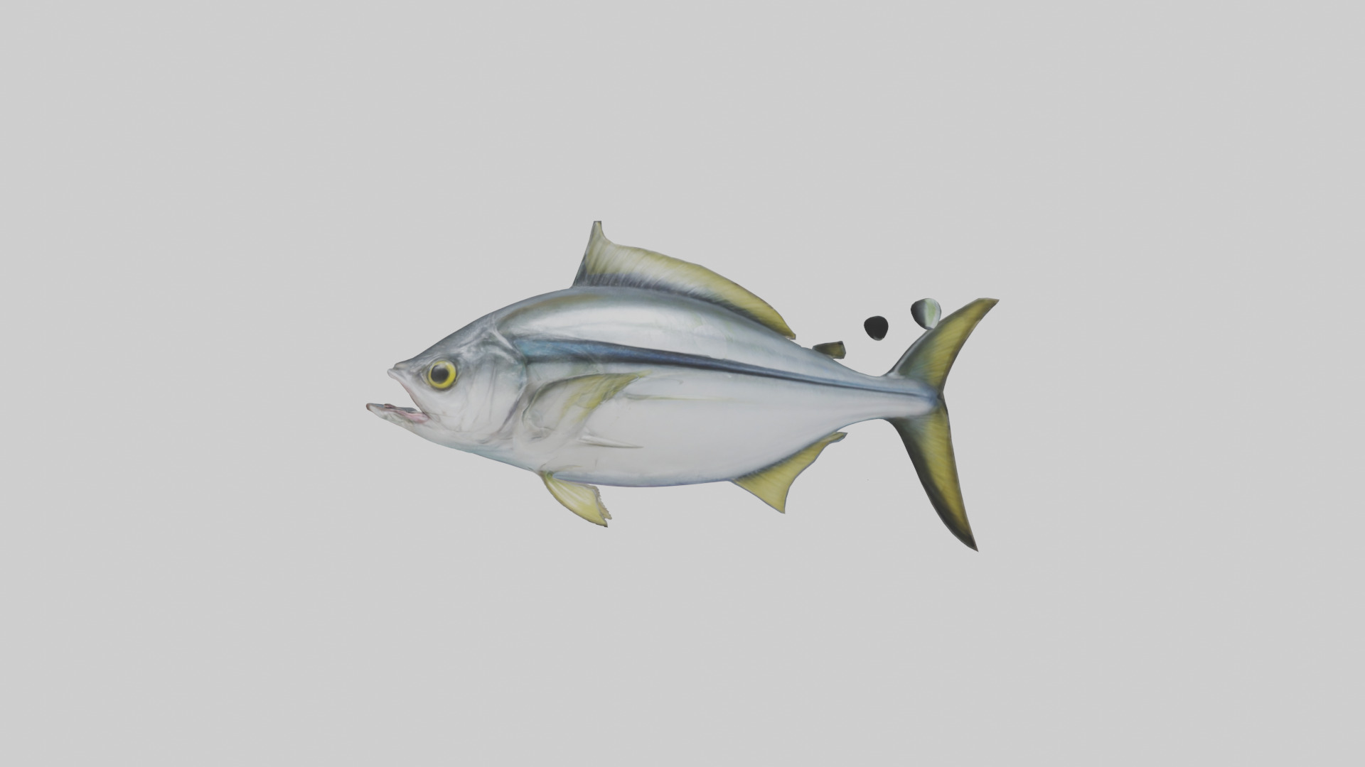 Horse Mackerel darting model Low-poly 3D model_12