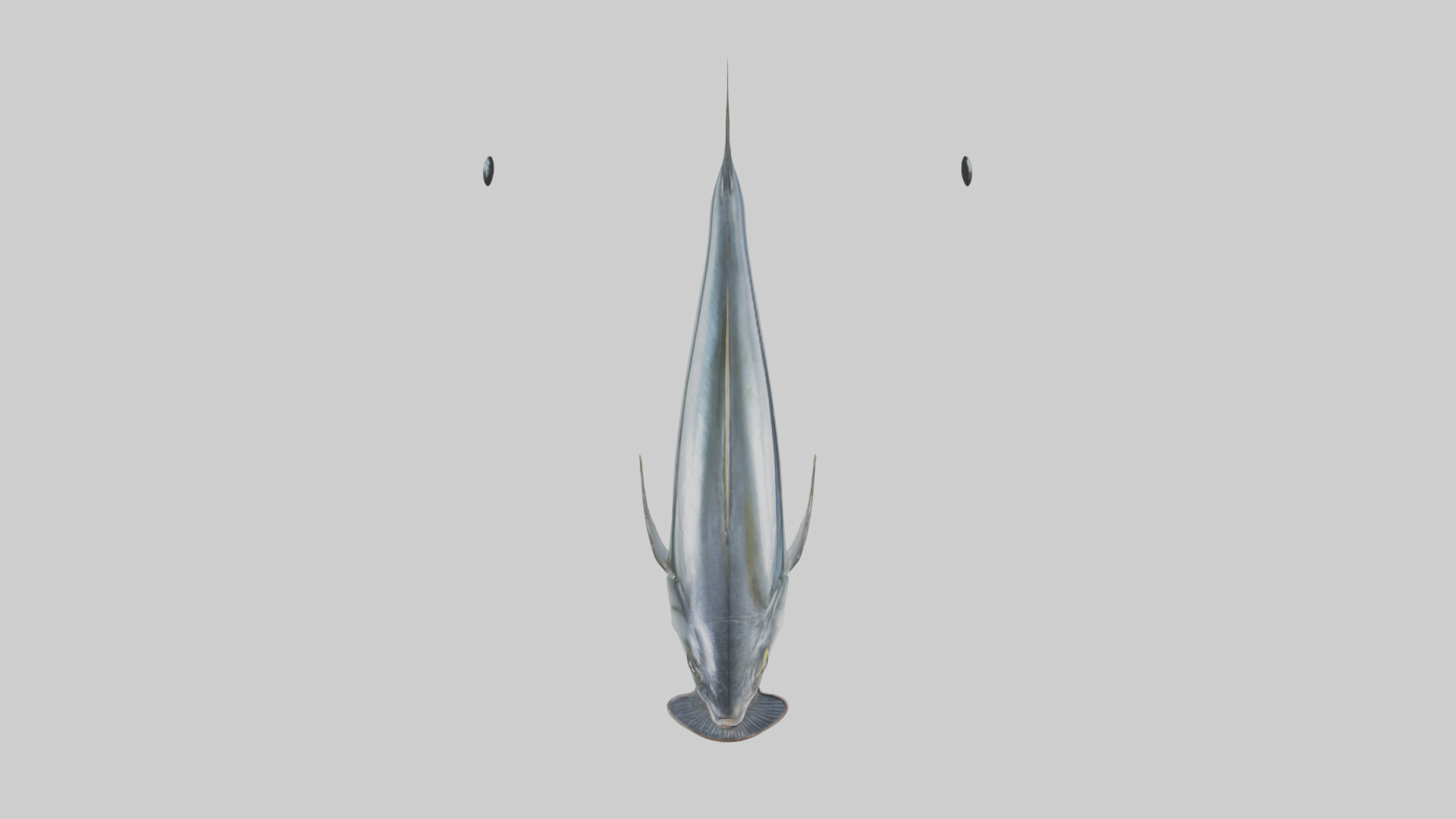 Horse Mackerel darting model Low-poly 3D model_14
