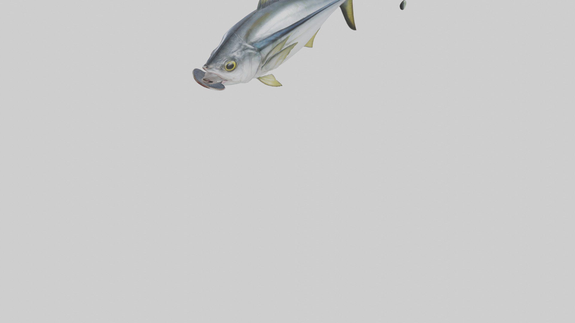 Horse Mackerel darting model Low-poly 3D model_5