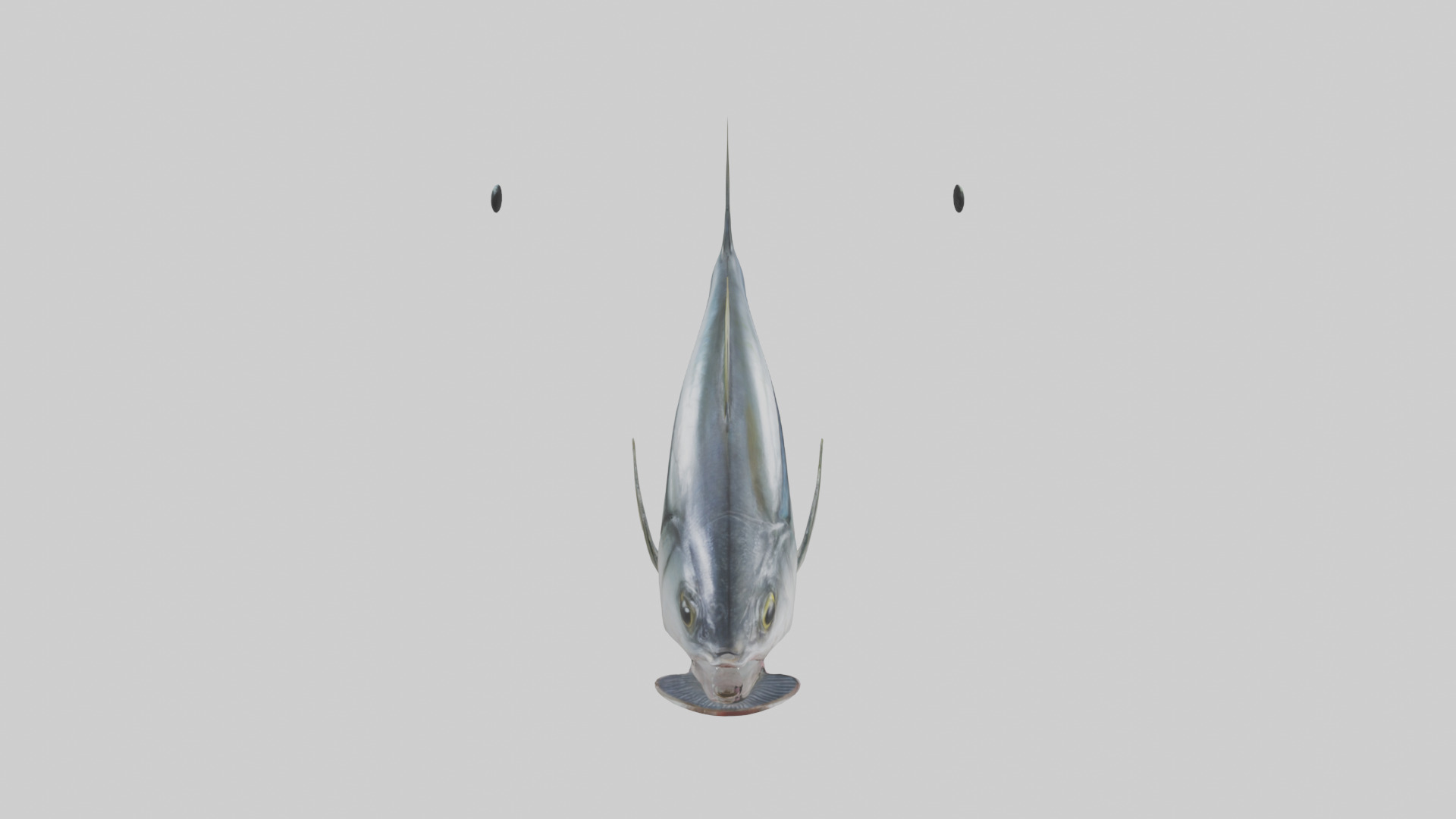Horse Mackerel darting model Low-poly 3D model_16