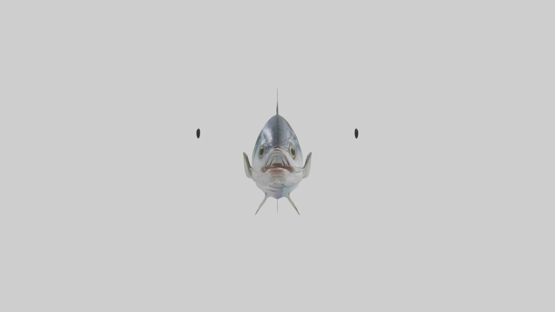 Horse Mackerel darting model Low-poly 3D model_9