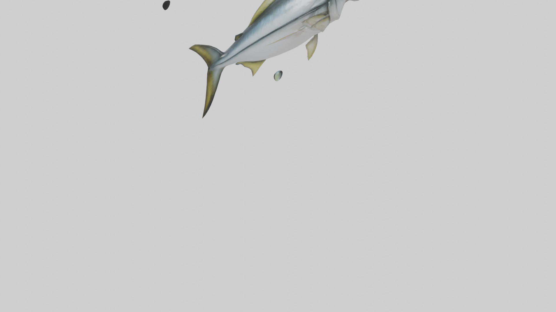 Horse Mackerel darting model Low-poly 3D model_4