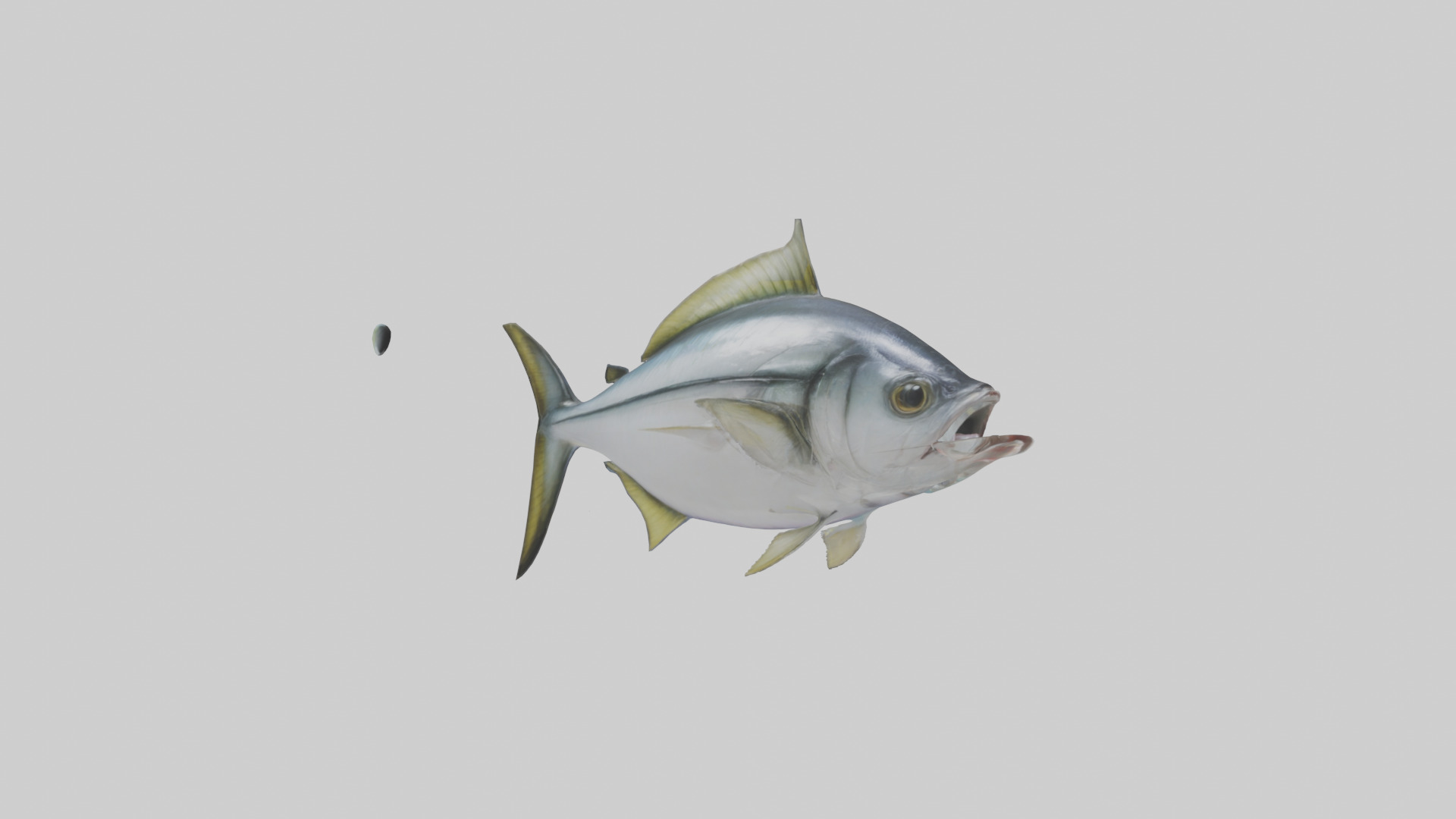 Horse Mackerel darting model Low-poly 3D model_7
