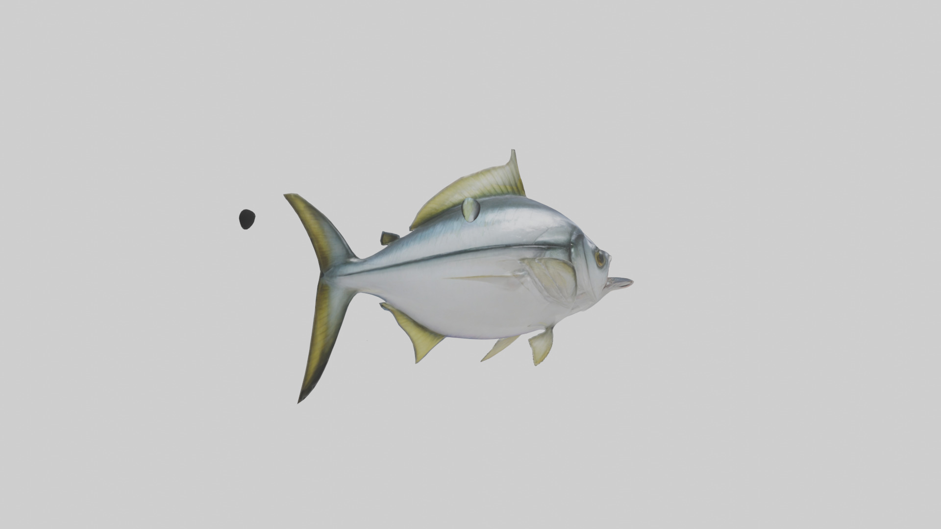 Horse Mackerel darting model Low-poly 3D model_2